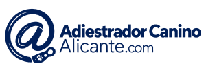 Adiestrador Canino en Alicante